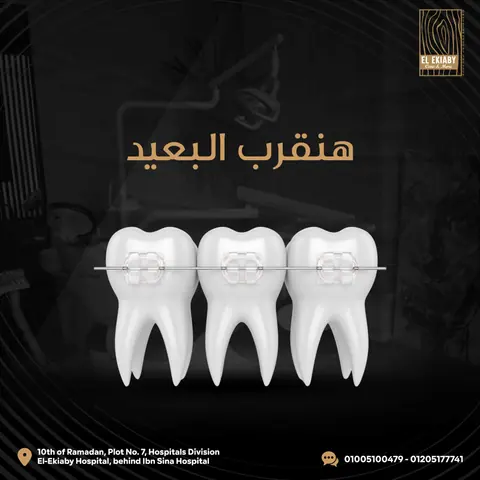 صورة 8